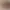 Deux boîtes en carton, l'une beige et l'autre marron, posées sur une surface plane avec des inscriptions en écriture cursive